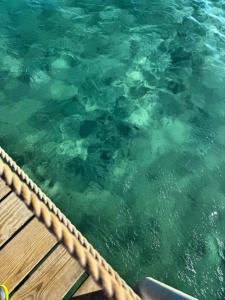 Movenpick Waterpark Resort & Spa Soma Bay - 56