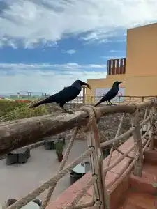 Nubian Village, Families and Couples only - 23