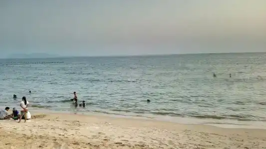 Tropicana Pattaya - SHA Extra Plus - 26