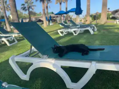 Megasaray Club Belek - 18