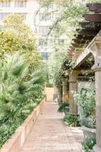 Encanto de Las Cruces - 11