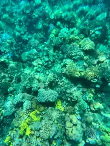 Concorde El Salam Sharm El Sheikh Sport - 74