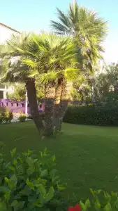 La Blanche Resort & Spa - 77