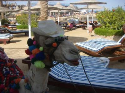 King Tut Aqua Park Beach Resort - 85