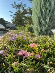 Crystal Flora Beach Resort - Ultimate All Inclusive - 33