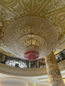  Royal Rose Abu Dhabi - 16