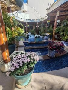 TUI Magic Life Belek - 55