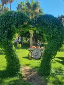 Justiniano Deluxe Resort - 58