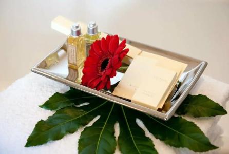 Elbflorenz Dresden - 25