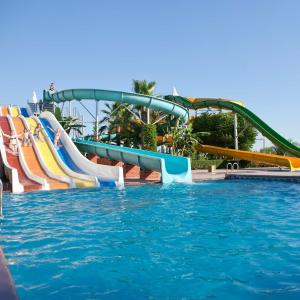 Paloma Oceana - 91
