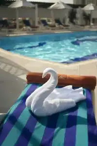 Jumeira Rotana - 15