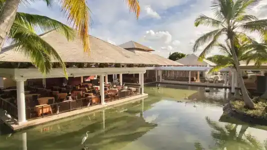 Catalonia Punta Cana - Все включено - 71