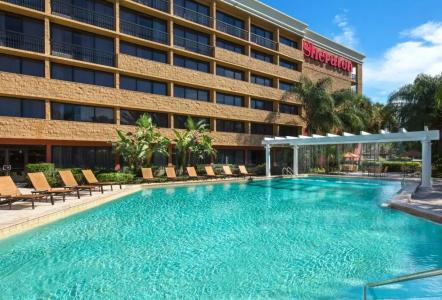 Sheraton Orlando North - 37