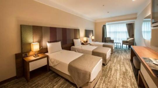 Ramada by Wyndham Gemli̇k - 38