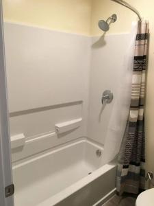 Lincoln Park Motel - 86