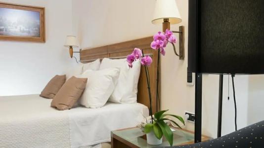 Alexander Beach & Spa - 11