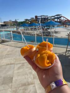Pickalbatros Jungle Aqua Park - Neverland Hurghada - 61