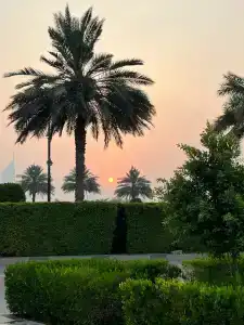 Marina Byblos - 69