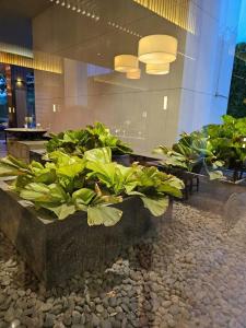 Millennium Hilton Bangkok - 63