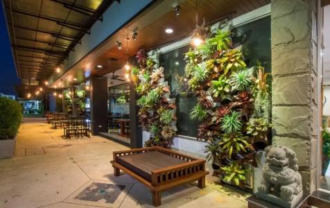 Green House - 23