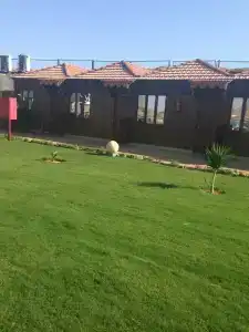 Xperience Golden Sandy Beach - 33