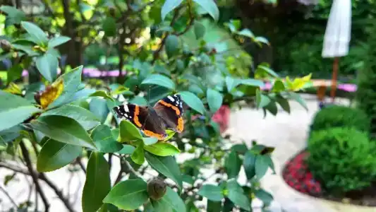 Tuzla Garden & Spa - 20