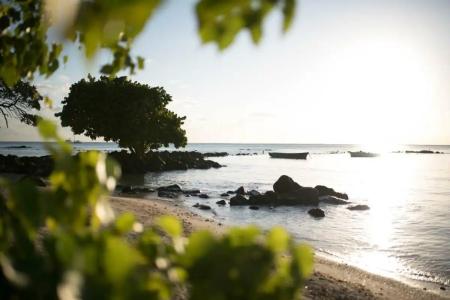 Mystik Life Style by NEWMARK - 45