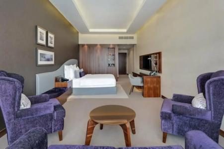 Radisson Blu, Dubai Waterfront - 24