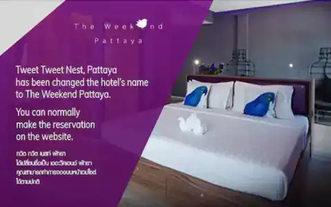The Weekend Pattaya (Tweet Tweet Nest Pattaya) - 18