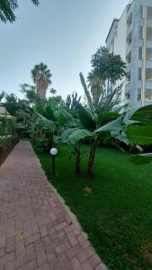 Kolibri - All Inclusive - 55