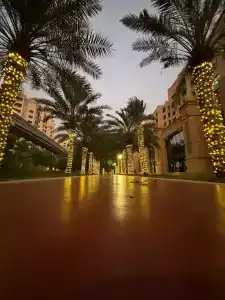 Adagio Premium The Palm - 3