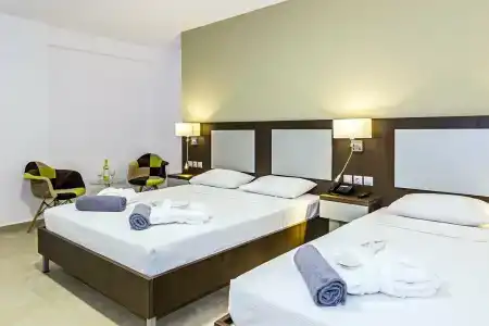 White Olive Premium Laganas - 96