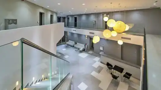 White Olive Premium Laganas - 86