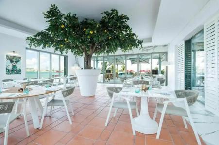 TH8 Palm Vignette Collection, Beach Resort - 94