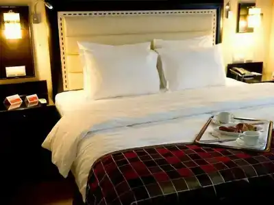 Ramada by Wyndham Istanbul Old City - 7