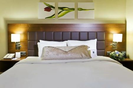 Hilton Garden Inn Kutahya - 81