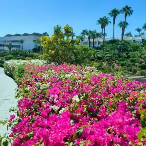 Monte Carlo Sharm Resort & Spa - 13