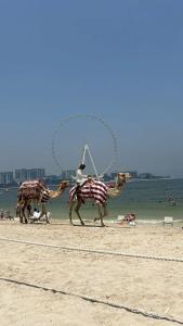 Hilton Dubai Jumeirah - 82