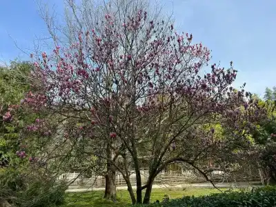 Oaks Ibn Battuta Gate Dubai - 30