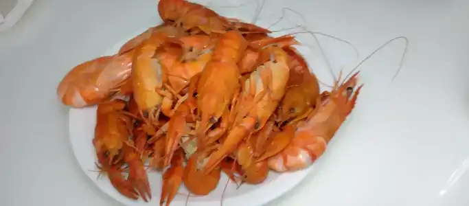 Adalya Ocean Deluxe - 95