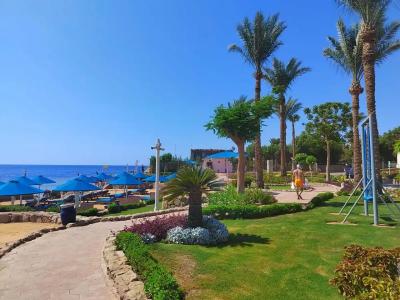 Pickalbatros Royal Grand Sharm - Adults Friendly 16 Years Plus - 6