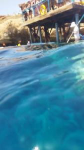 Sharm Reef Resort - 60