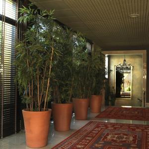 Luna Club Yoga & Spa 4Sup - 76