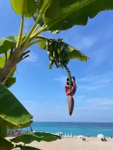 Belcekiz Beach Club - All Inclusive - 79