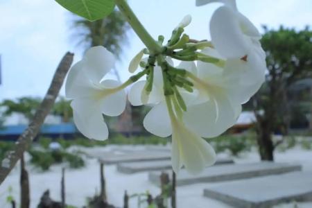 Long Set Resort - 51