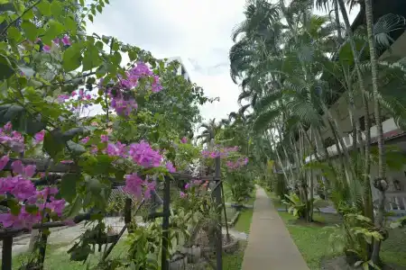 Patong Palace - SHA Extra Plus - 9