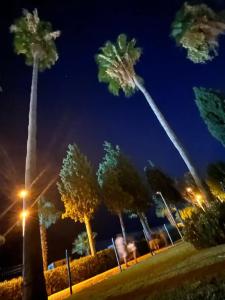 TUI BLUE Grand Azur - 46