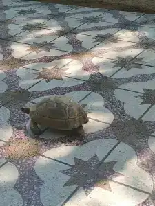 Gumbet Anil Beach - 18