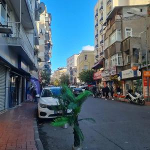 Tayhan - 20