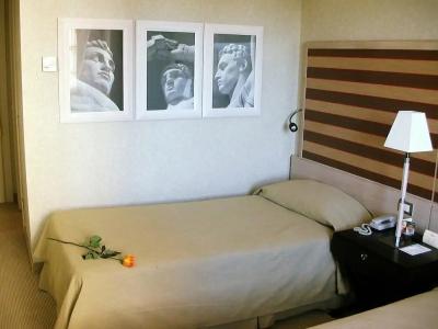 Sheraton Rome Parco de Medici - 29